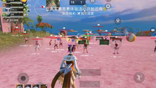 深入了解和平精英辅助现象：技术创新与社会影